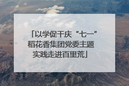以学促干庆“七一” 稻花香集团党委主题实践走进百里荒